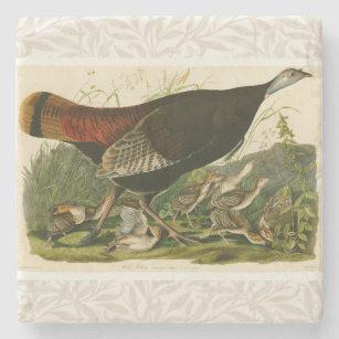 Turkey Wild Audubon Bird Painting Stone Coaster