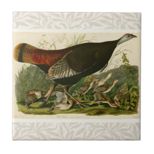 Turkey Wild Audubon Bird Painting Tile