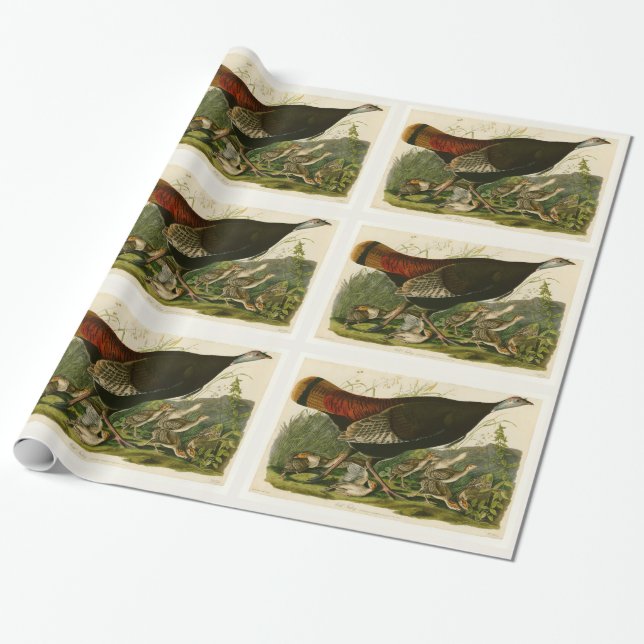 Turkey Wild Audubon Bird Painting Wrapping Paper (Unrolled)