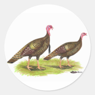 Turkey:  Wild Bronze Classic Round Sticker