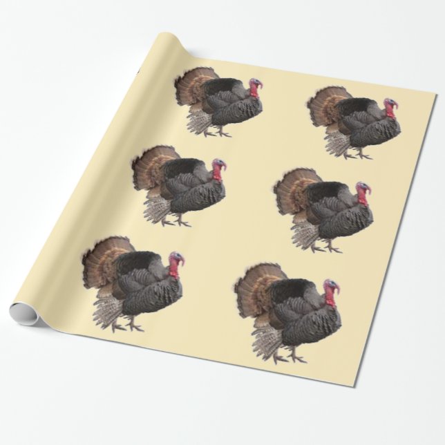 Turkey Wrapping Paper (Unrolled)