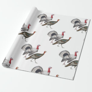 Turkey Wrapping Paper