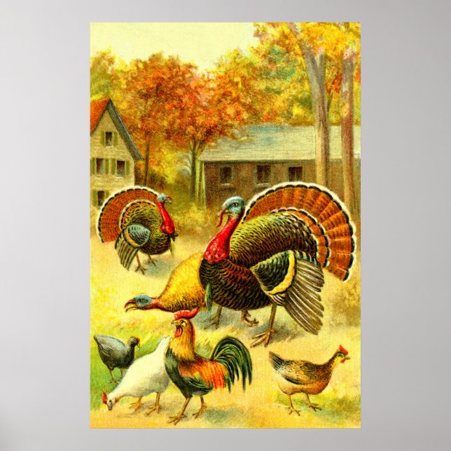Turkeys and chickens art poster (Front)