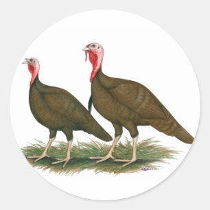 Turkeys: Chocolate Classic Round Sticker