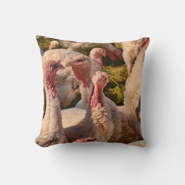 Turkeys Cushion (Front)