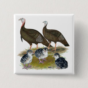 Turkeys Eastern Wild Family 15 Cm Square Badge
