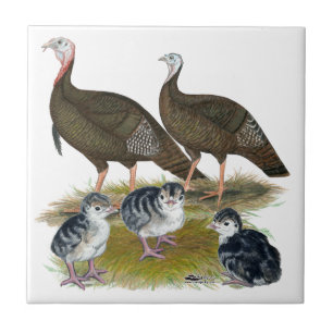 Turkeys Eastern Wild Family Ceramic Tile