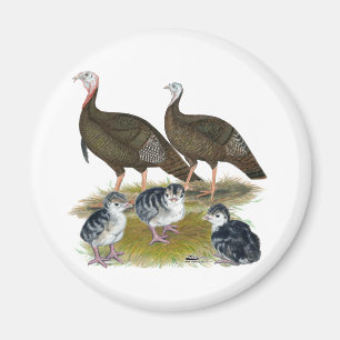 Turkeys Eastern Wild Family Magnet