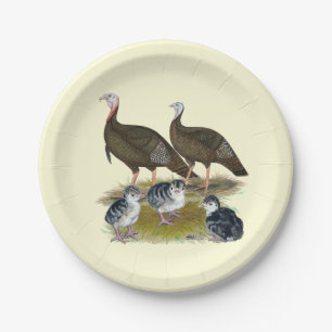 Turkeys Eastern Wild Family Paper Plate