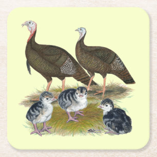 Turkeys Eastern Wild Family Square Paper Coaster