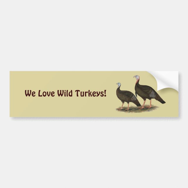 Turkeys Eastern Wild Pair Bumper Sticker (Front)