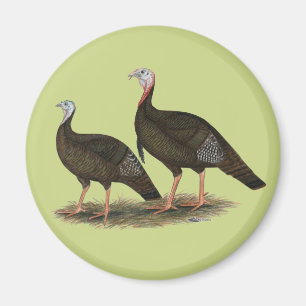 Turkeys Eastern Wild Pair Magnet