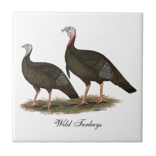 Turkeys Eastern Wild Pair Tile