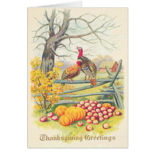 Turkeys Farm Pumpkin Apples Tree Fall Leaves