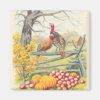 Turkeys Farm Pumpkin Apples Tree Fall Leaves