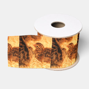 Turkeys Grosgrain Ribbon