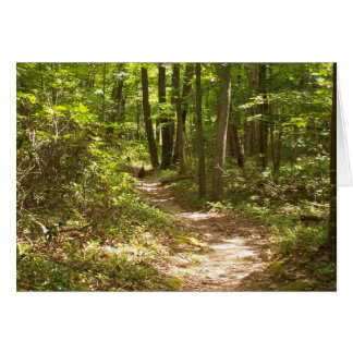 turkeys on the appalachian trail
