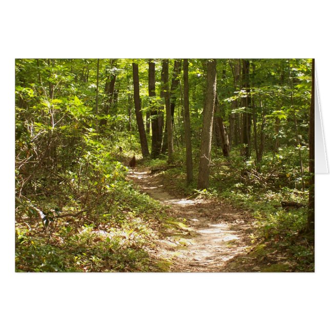 turkeys on the appalachian trail (Front Horizontal)