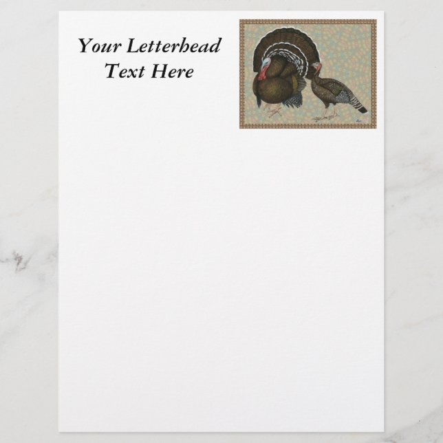 Turkeys Standard Bronze Portrait (Front)