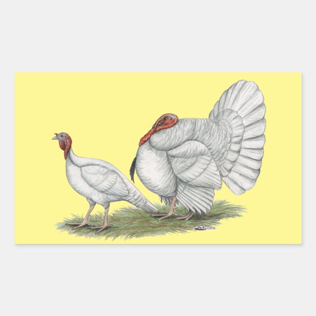 Turkeys White Holland Rectangular Sticker (Front)