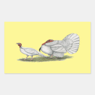 Turkeys White Holland Rectangular Sticker