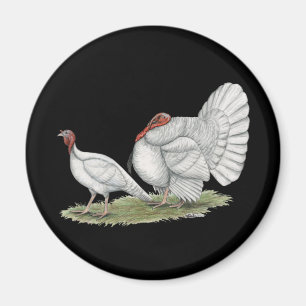 Turkeys White Hollands Magnet
