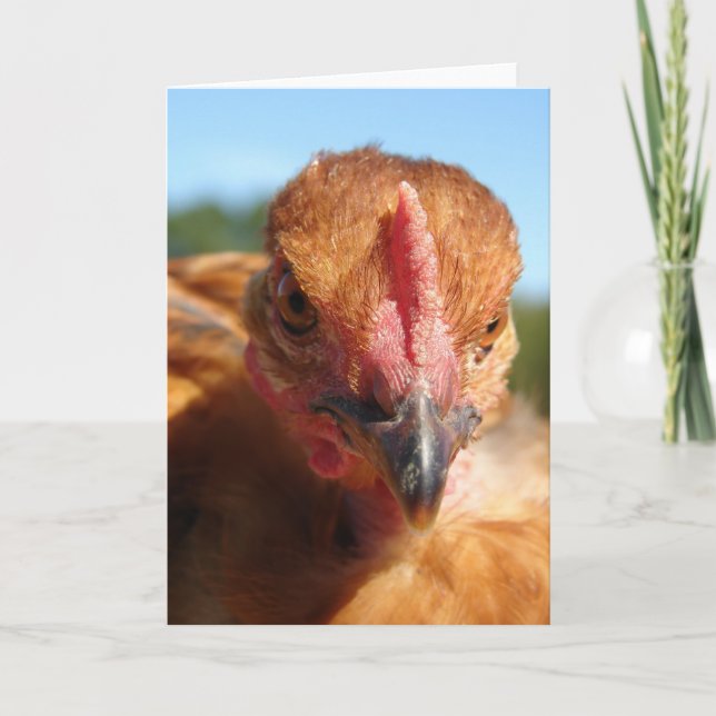 Turkin Pullet Card (Front)