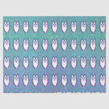 Turkish Angora Cat - Blue Eyed Angora