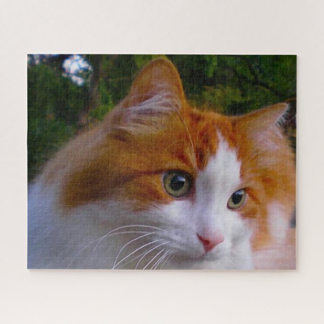 Turkish Angora Cat. Jigsaw Puzzle (Horizontal)
