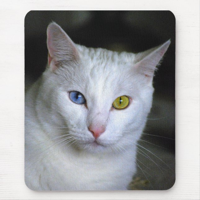 Turkish Angora Odd Eyes Mousepad (Front)