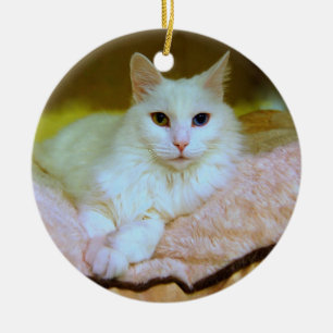 Turkish Angora Princess Cat Ornament