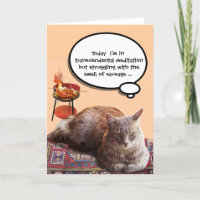 TURKISH CAT IN  TRANSCENDENTAL MEDITATION
