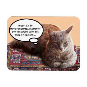 TURKISH CAT IN TRANSCENDENTAL MEDITATION MAGNET
