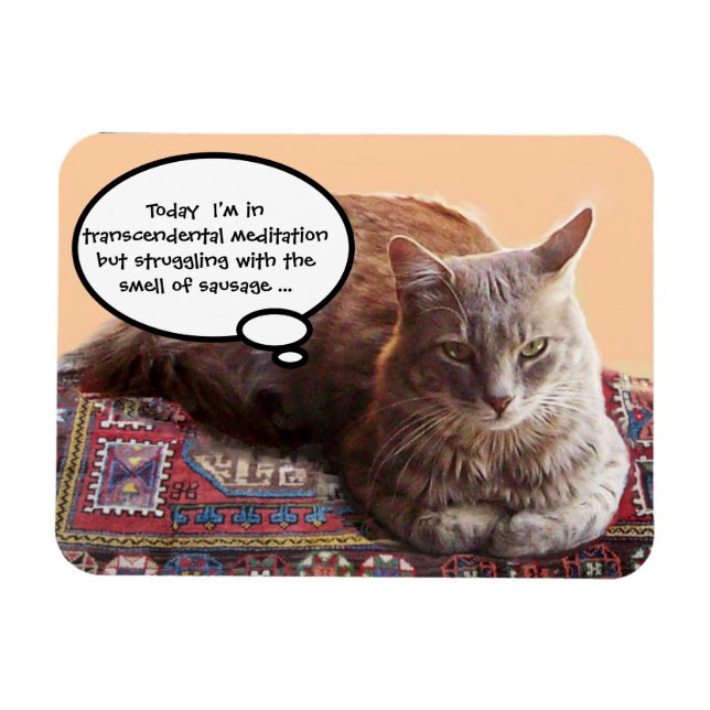 TURKISH CAT IN  TRANSCENDENTAL MEDITATION MAGNET (Horizontal)