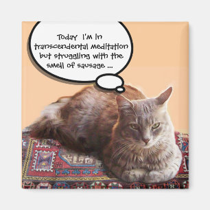 TURKISH CAT IN TRANSCENDENTAL MEDITATION MAGNET