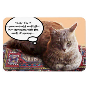 TURKISH CAT IN TRANSCENDENTAL MEDITATION MAGNET