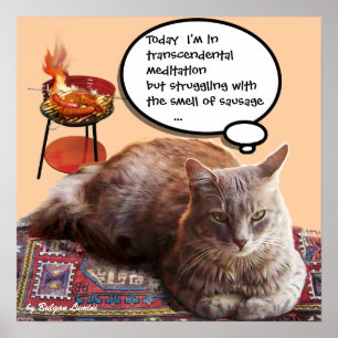 TURKISH CAT IN  TRANSCENDENTAL MEDITATION POSTER