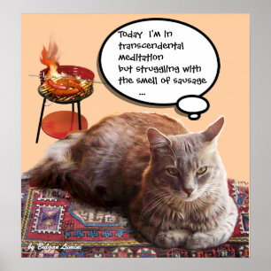 TURKISH CAT IN  TRANSCENDENTAL MEDITATION POSTER