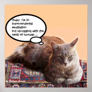 TURKISH CAT IN  TRANSCENDENTAL MEDITATION POSTER