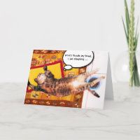 TURKISH CAT ON THE OLD CARPET