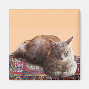 TURKISH CAT ON THE OLD CARPET MAGNET