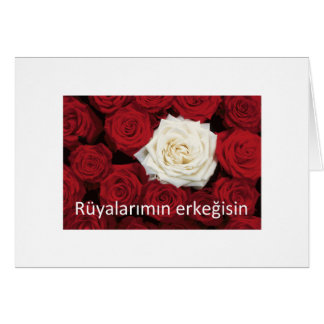 TURKISH LOVE 'You're the man of my dreams'