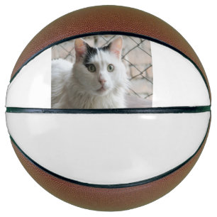turkish van basketball