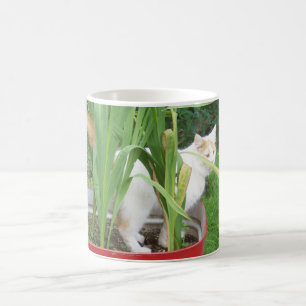 TURKISH VAN CAT IN FLOWERS MUG