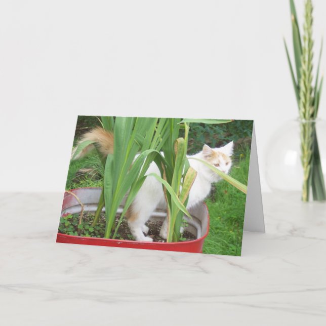 TURKISH VAN SAYS **HAPPY APRIL BIRTHDAY** CARD (Front)