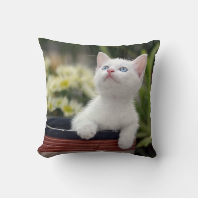 Turkish White Kitten Cushion (Front)