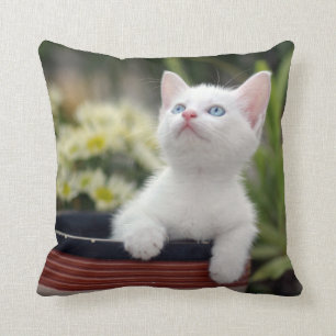 Turkish White Kitten Cushion
