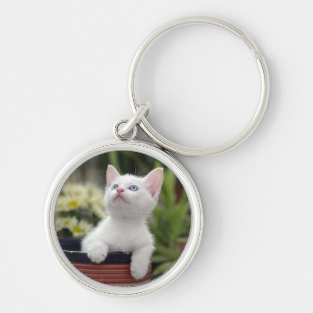 Turkish White Kitten Key Ring (Front)