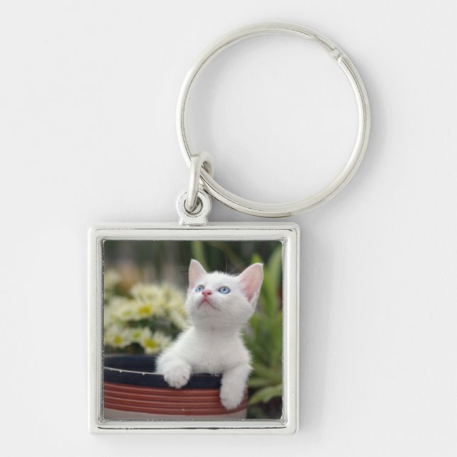 Turkish White Kitten Key Ring (Front)