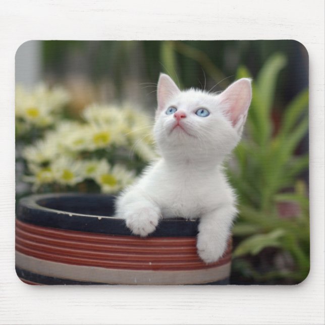 Turkish White Kitten Mouse Pad (Front)